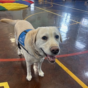 Fundraising Page: Heather Sosnovsky